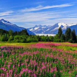 Injustice Vs Masters Of The Universe Hardcover Graphic Novel Omnibus NWOT